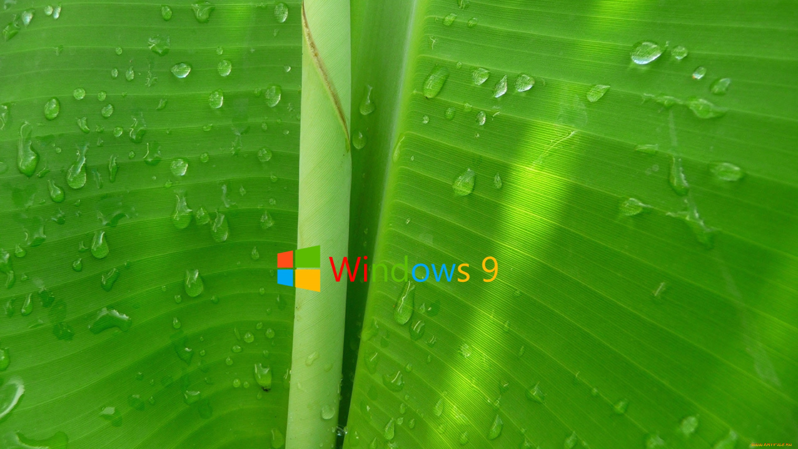 , windows 9, , 